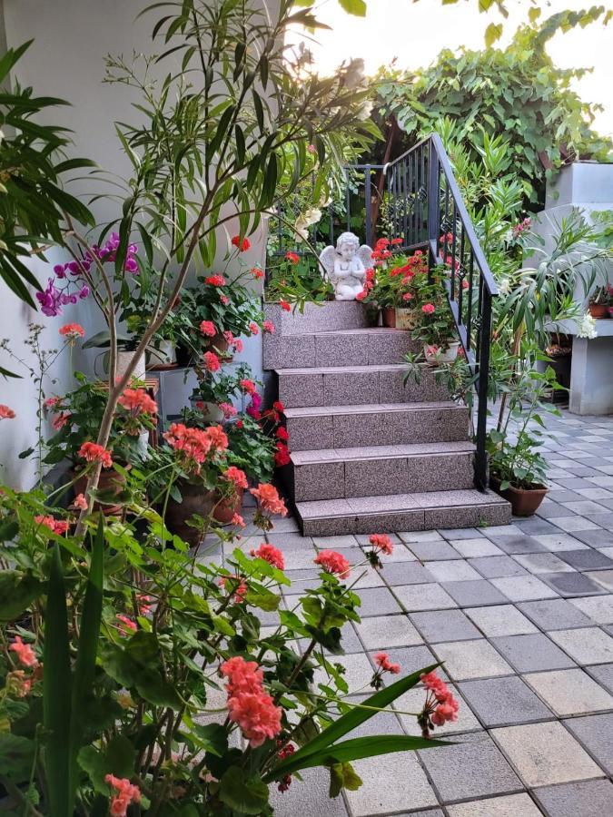 Vila Didi, Mangalia Exteriör bild