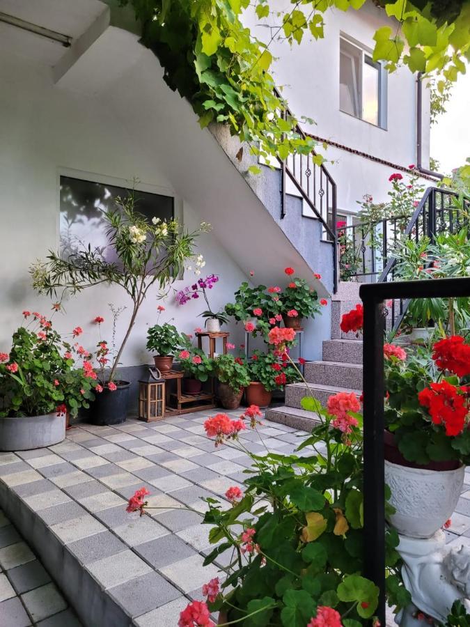 Vila Didi, Mangalia Exteriör bild
